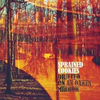 Drifted On An Oaken Mirror