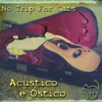 Acustico e ostico