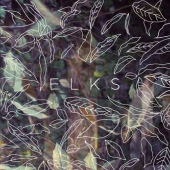 ELKS