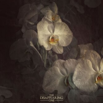 Copertina dell'album The Disappearing One, di The Disappearing One