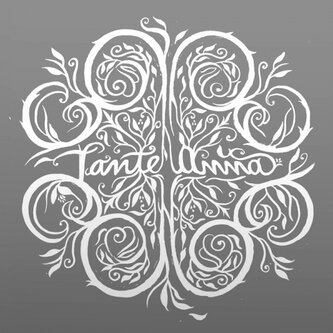 Copertina dell'album 2, di Tante Anna