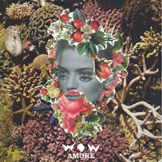 Copertina dell'album Amore, di WOW