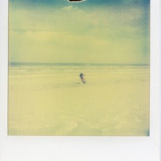Copertina dell'album Beauteous, di Allie's Dope
