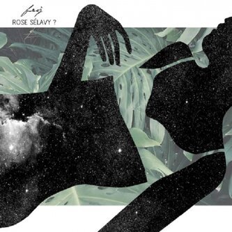 Copertina dell'album Rose Sélavy?, di Friz