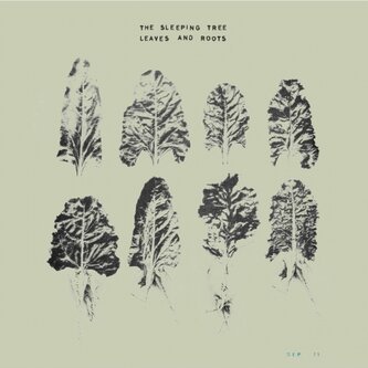Leaves And Roots
