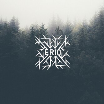 Copertina dell'album We've Been Running / Oval in Your Trunk, di Erio