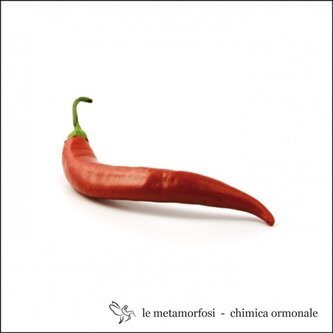 Chimica Ormonale