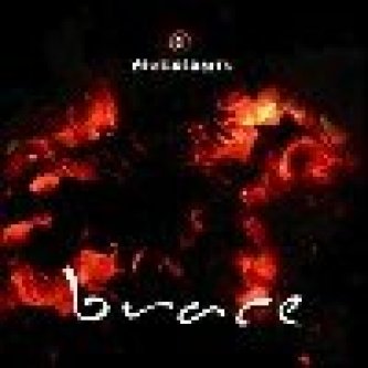Brace