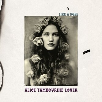 Copertina dell'album Like a rose, di Alice Tambourine Lover