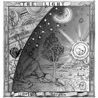 The Light