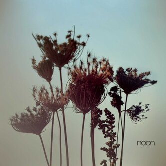 Noon