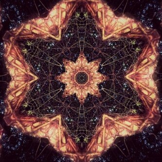 Star of the East