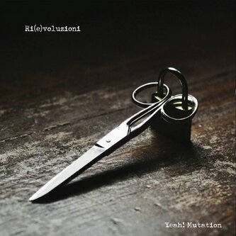 Copertina dell'album Ri(e)voluzioni - EP, di Yeah! Mutation