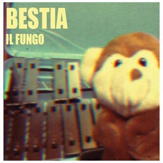 Il Fungo