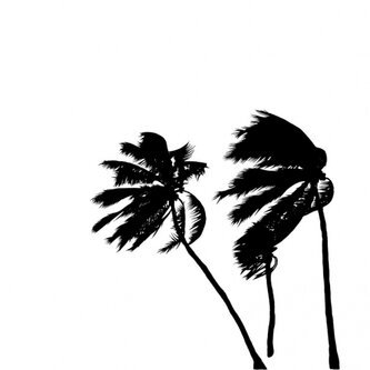 INTRO