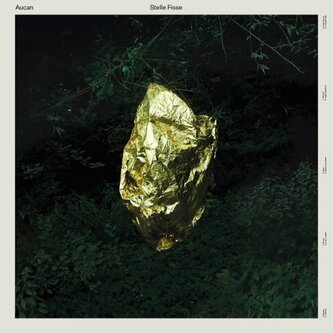 Copertina dell'album Stelle fisse, di Aucan