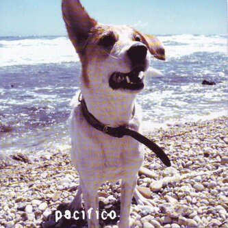 Copertina dell'album Musica Leggera, di Pacifico