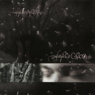 Copertina dell'album Background, di Bassi Maestro