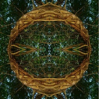STAR OF THE EAST (the album)