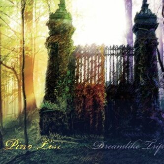 Dreamlike trip