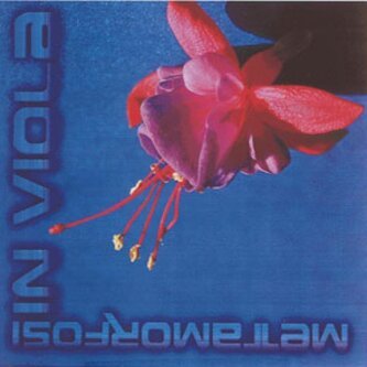 Copertina dell'album Disco semplicemente "Metamorfosi in Viola", di Metamorfosi in Viola