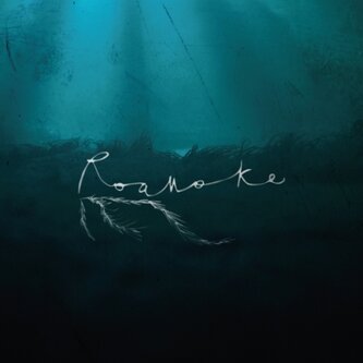 Copertina dell'album Black Cat, di roanoke