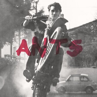 Ants