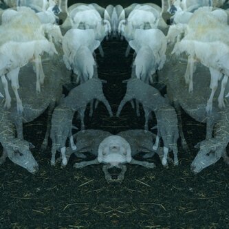 ANTICO