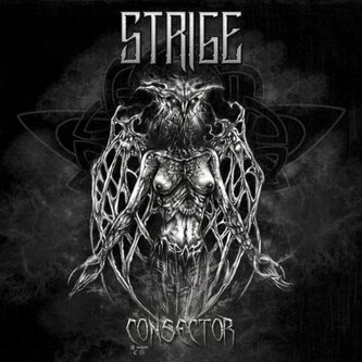 Consector