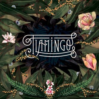 Copertina dell'album Flamingo, di Flamingo