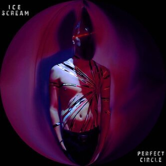 Perfect Circle - Single