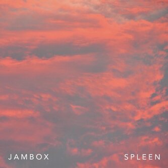 Spleen