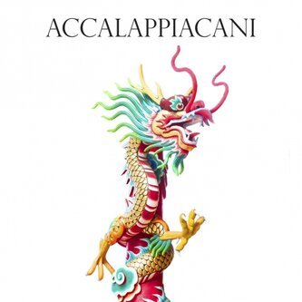 Accalappiacani