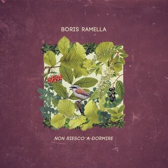 Copertina dell'album Non riesco a dormire, di Boris Ramella