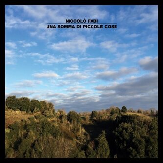 Copertina dell'album Una somma di piccole cose, di Niccolò Fabi