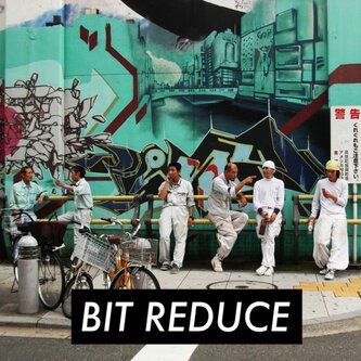 Copertina dell'album Fine, di Bit Reduce