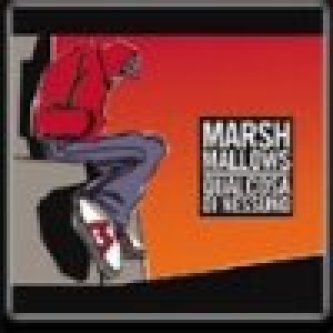 Copertina dell'album Qualcosa Di Nessuno, di Marsh Mallows