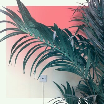 Slow light