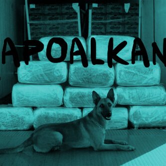 Lapoalkann