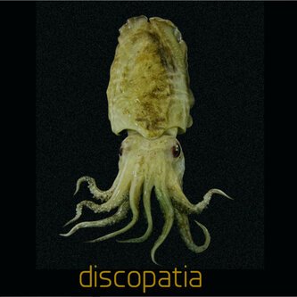 Discopatia