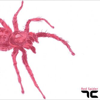 Red Spider