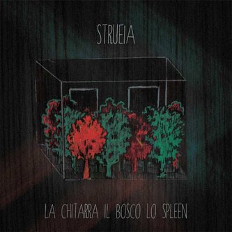 Copertina dell'album La Chitarra il bosco lo spleen, di strueia
