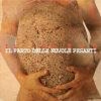 Copertina dell'album Il Parto, di Il Parto delle Nuvole Pesanti