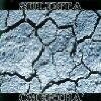Sulinta