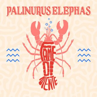 Copertina dell'album Fame di niente, di Palinurus