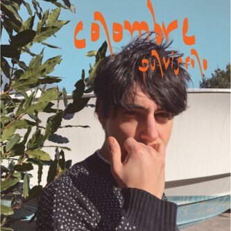 Copertina dell'album Pulviscolo, di Colombre