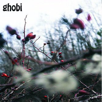 ghobi