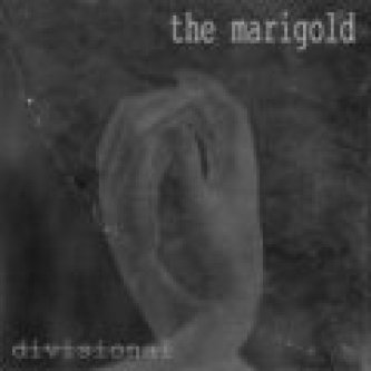 -Divisional-