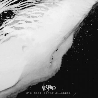 Copertina dell'album c'è così tanto silenzio, di VESPRO