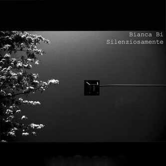 Silenziosamente
